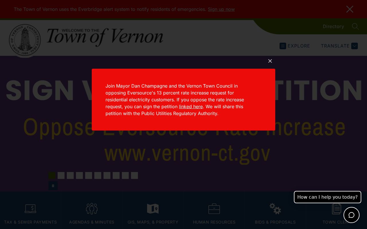 Official Vernon town portal and civic context